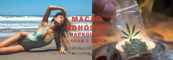 тгк Бородино