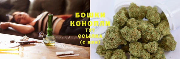 бошки Богданович
