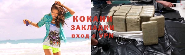 тгк Бородино