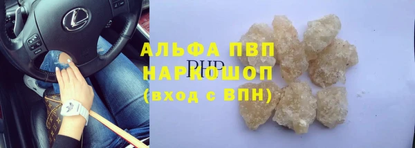 тгк Бородино