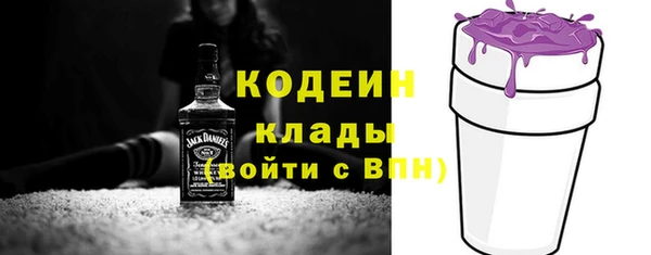 тгк Бородино