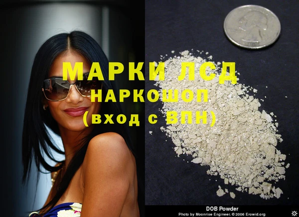 тгк Бородино