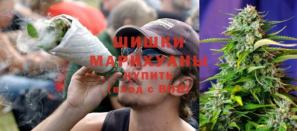 тгк Бородино