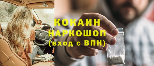 тгк Бородино