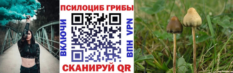 Псилоцибиновые грибы Cubensis  Энем 